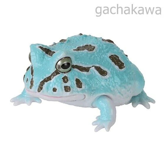 Ikimono Encyclopedia Repti Budget Frog and Ceratophrys Set of 5 capsule toy - Image 7